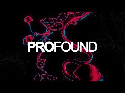 Skrillex, Aluna & Kito - Inhale Exhale (Chris Maze Remix)