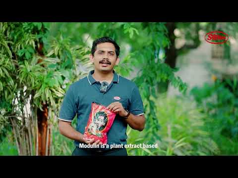 Boost Your Crop Growth with Modulin: The Ultimate Plant Extract-Based Biostimulant!