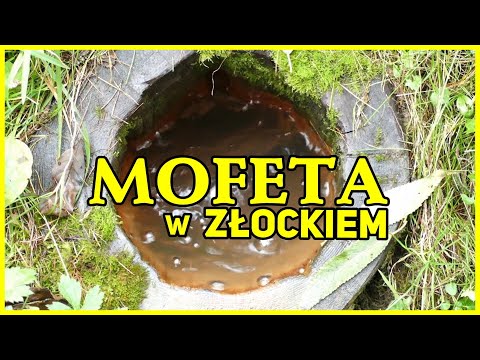 Mofeta w Złockiem - Polska