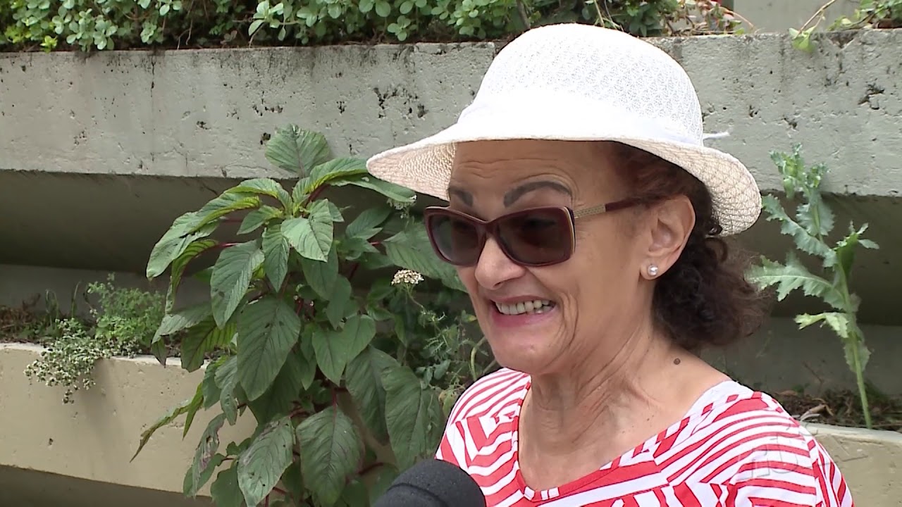 Horta comunitária funciona na escadaria de prédio de Curitiba