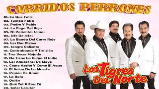 1 HORA DE LOS TIGRES DEL NORTE MIX ÉXITOS CANCIONES 2025 - LOS TIGRES DEL NORTE MIX PUROS CORRIDOS