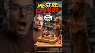 Treino Kung-Fu Ozzy vs. Walberg #dachshund #kungfu #ia #luta #dog #diversao #cha #desafio #cachorro