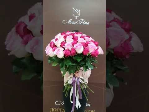Букет 51 Роза Maxflora.ru