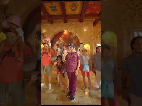 Tour Lamas – Cultura viva y miradores de ensueño