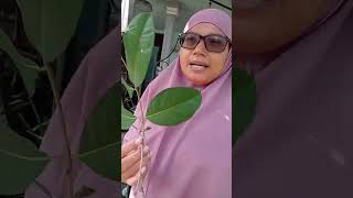Download lagu Why did he shake hands #masyaallahtabarakallah #minivlog #shorts mp3