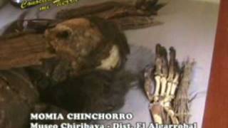 preview picture of video 'Aprendiendo MUseo Chiribaya: Momia Chinchorro'