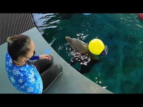 Apollo's 1 Year Anniversary at CMA!