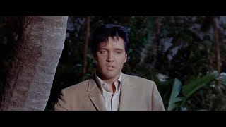 Elvis Presley - The Girl I Never Loved