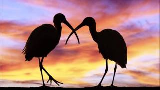 tanta voglia di lei karaoke dragony melly Pooh