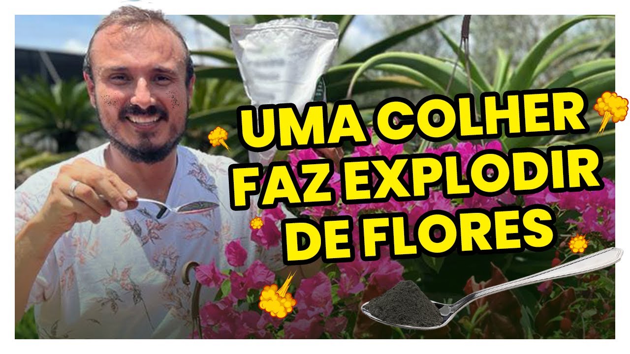 Uma colher faz suas plantas explodirem de flores