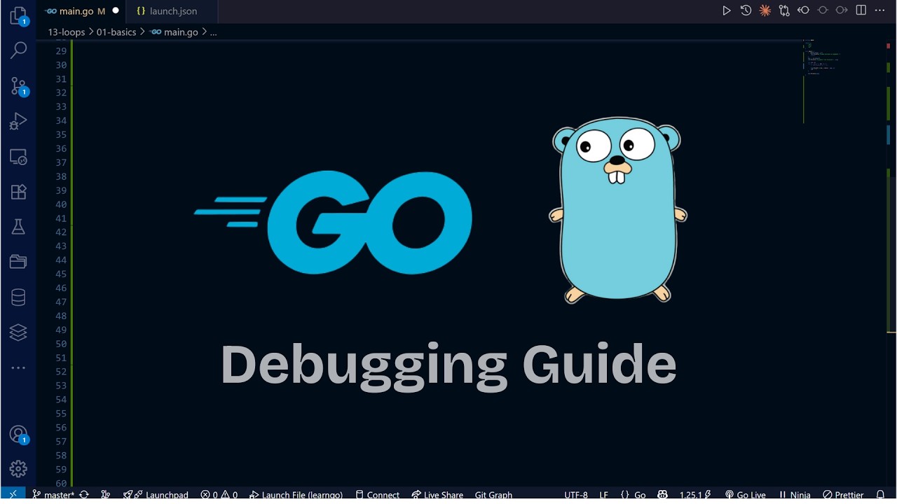 Ultimate guide to debugging go lang with vscode debugger