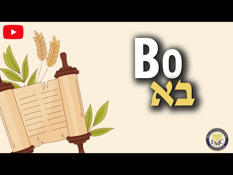 📜 Curiosidades de la parashah - BO #15