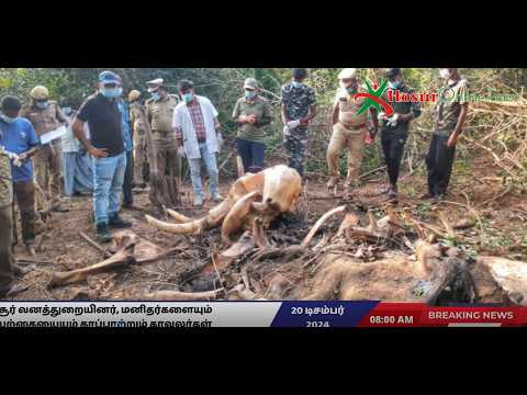 ஓசூர் வனத்துறையினர், நாட்டின் முதன்மையான போர்க்களத்தில்!