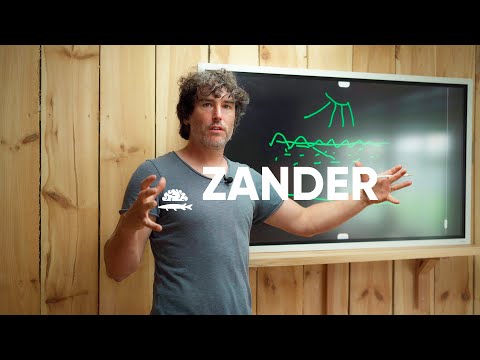 ZANDER im SOMMER - so geht's!