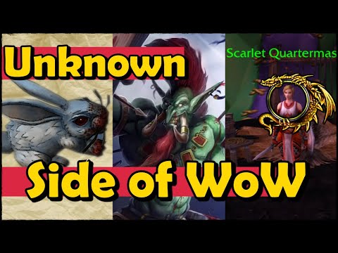 The Unknown Side of WoW - Zul'jin, The Darkmoon Faire Secrets