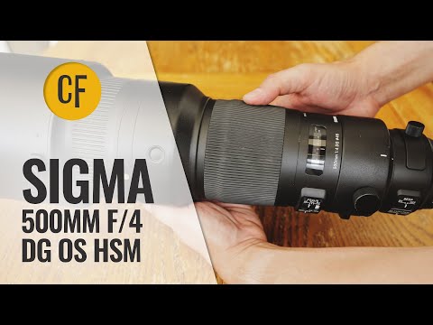 Video thumbnail for Video Review 1