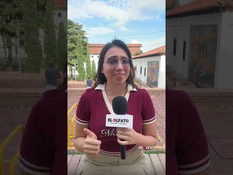 Minería ilegal en el Tolima: 230 hectáreas afectadas y ríos contaminados