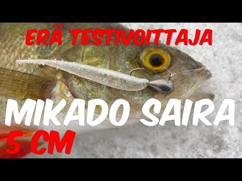 Talven paras ahvenpilkki?