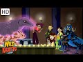 The Runway Of Doom Happy Halloween Wild Kratts