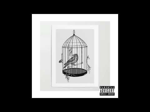 ZVEZDANI ZLIKOVAC - Ptica