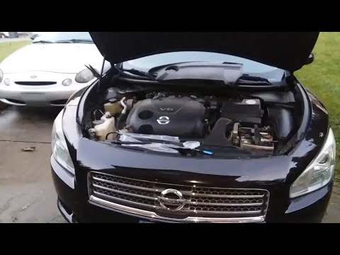 2009 - 2015 Nissan Maxima Hood Struts Replacement