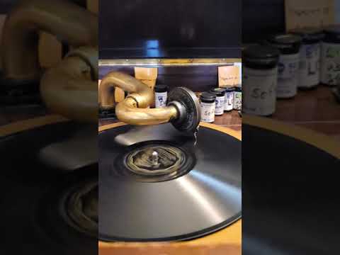 Bungalow of Dreams - Frankie Masters and his Orchestra  Victor Records #21102  1927