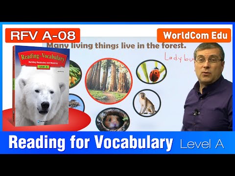 Aprenda inglês | Lendo vocabulário | Nível A | Lição 08 | Brian Stuart (미국교과서) (영어 강의)
