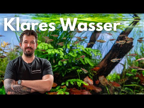 This is how you get clear water in your aquarium!