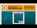 Celso Fonseca e Tony Canto feat. Camerata Jovem do Rio de Janeiro | Meraviglioso | Jobim e Modugno