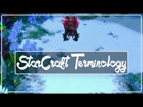 A Portal to StarCraft: StarCraft Terminology (Episode 5)