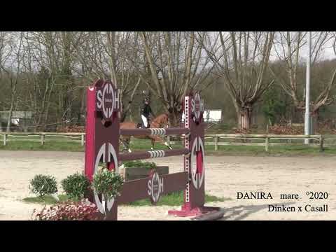 Danira DH