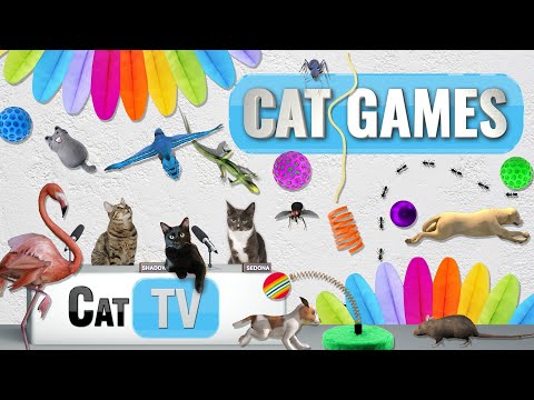 CAT Games | Ultimate Cat TV Compilation Vol 43 | 2 HOURS 🐝🐞🦋🦎🦜🐜🐭🧵