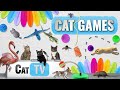 CAT Games | Ultimate Cat TV Compilation Vol 43 | 2 HOURS 🐝🐞🦋🦎🦜🐜🐭🧵
