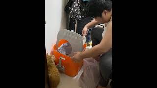 [閒聊] 悠咪上廁所也會用貓砂嗎？