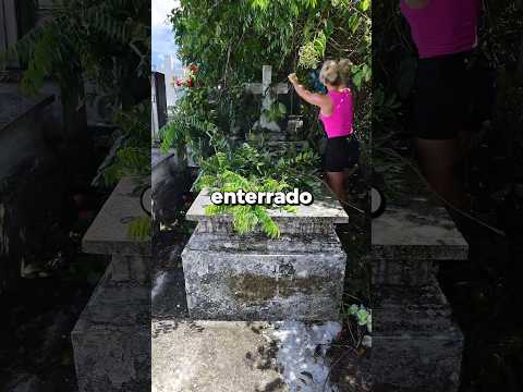 Ela limpa túmulos abandonados 🥺 #curiosidades #interessante #shorts