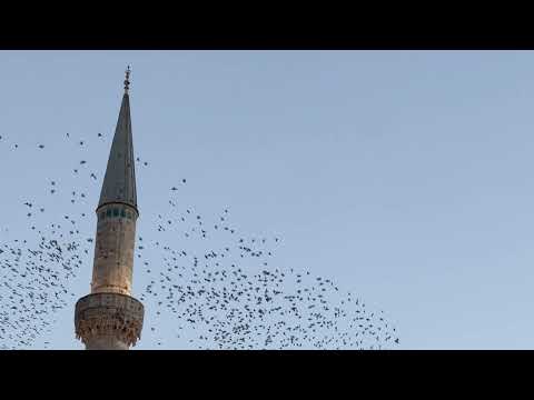 Cem Yıldız - Meskenim Ayrılık (Official Video)