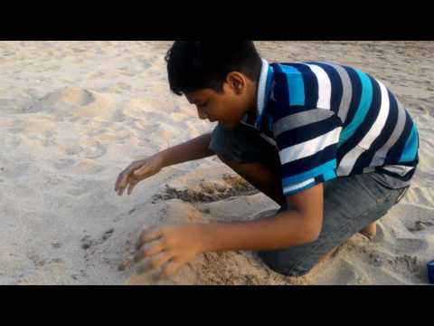 Juhu beach (1)  8/5/2017