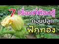 7 เรื่องที่ต้องรู้ ก่อนปลูกฟักทอง แชร์จากประสบการณ์ตรงครับ | Sivakorn Channel รายงาน pdf a4 png 7 เรื่องที่ต้องรู้ ก่อนปลูกฟักทอง แชร์จากประสบการณ์ตรงครับ | Sivakorn Channel รายงาน pdf a4 png
