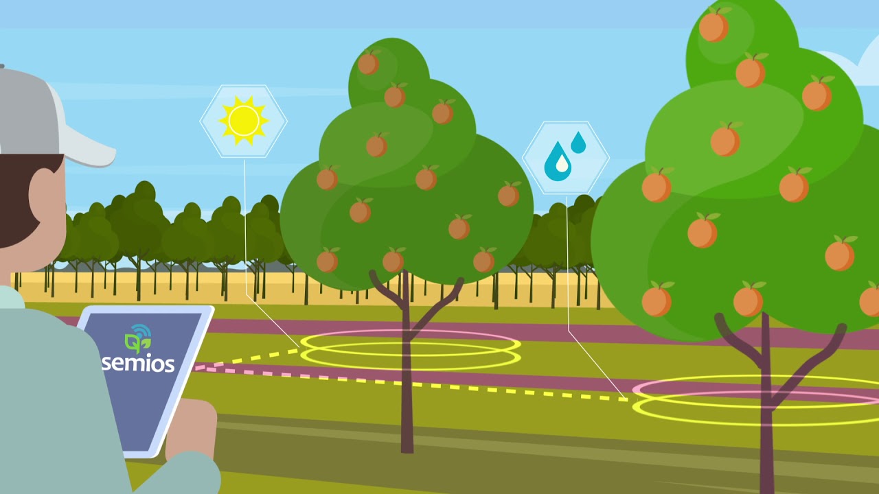 Semios: Precision Agriculture As A Service®