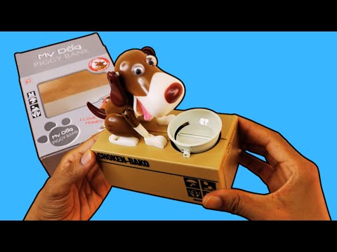 Unboxing Funny Dog Coin Bank – It Eats My Money!