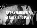 Gypsy Cob Vanner Horses No1 - Bishop Auckland ...