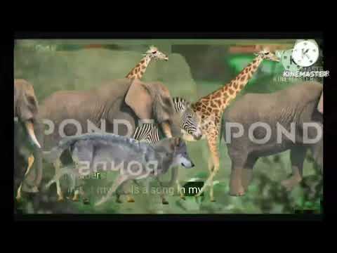 Animal Stampede Part 28