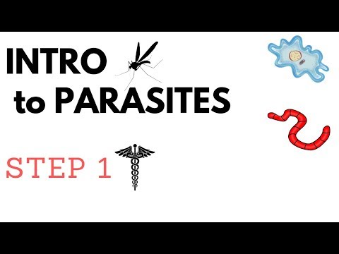 Step 1 Parasites- Full List & Overview | Protozoans & Metazoan Trematodes, Cestodes & Nematodes