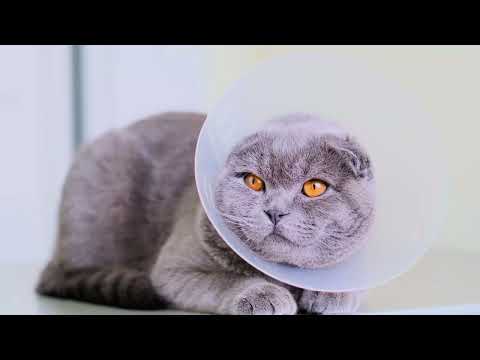 8k HD Crazy Vision #4KVideo#8KVideo#HDVideo#HighResolution#UltraHD#4KResolution