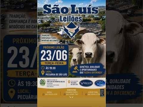 São Luis de Montes Belos - GO   23/06/2026