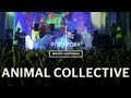Animal Collective - Monkey Riches / Brother Sport - Pitchfork Music Festival 2011