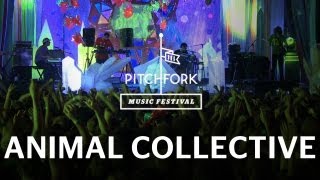 Animal Collective - Monkey Riches / Brother Sport - Pitchfork Music Festival 2011