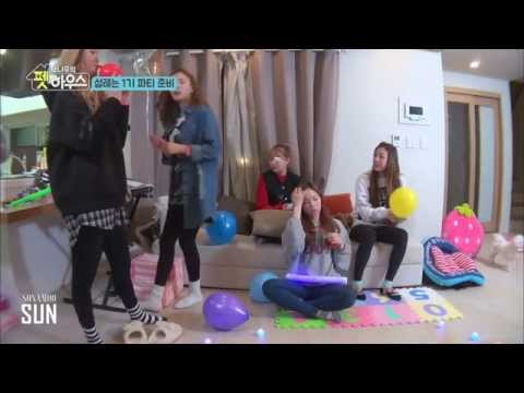 Sonamoo's Pet House best moments #1