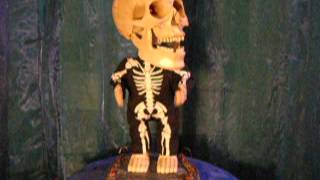Dancing Skeleton sings Rick James Super Freak!
