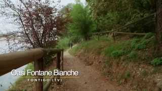 preview picture of video 'Piave In - Oasi Fontane Bianche (Fontigo)'